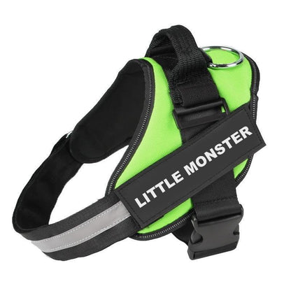 BRAVORA™   - CUSTOM FIT NO-PULL DOG HARNESS