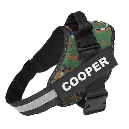BRAVORA™   - CUSTOM FIT NO-PULL DOG HARNESS