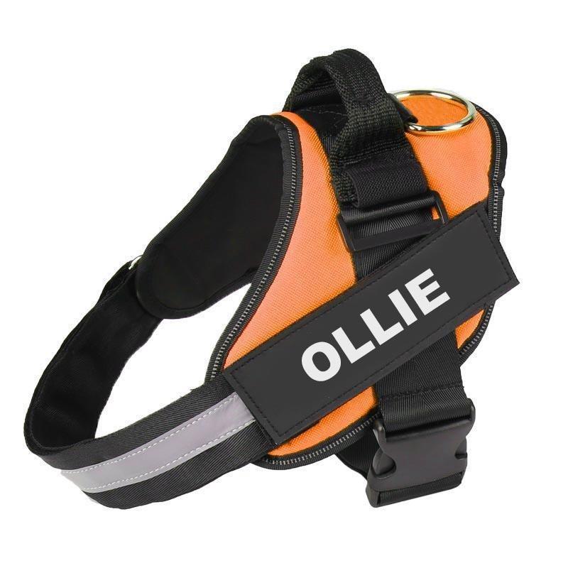 BRAVORA™   - CUSTOM FIT NO-PULL DOG HARNESS