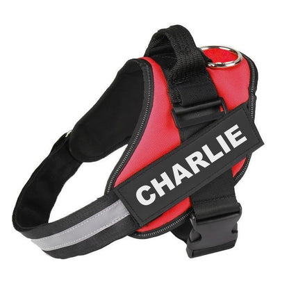 BRAVORA™   - CUSTOM FIT NO-PULL DOG HARNESS