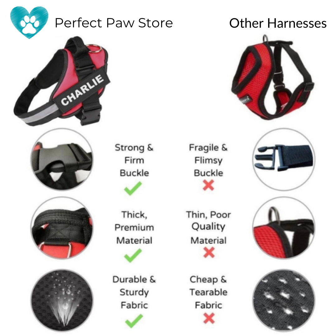 BRAVORA™   - CUSTOM FIT NO-PULL DOG HARNESS
