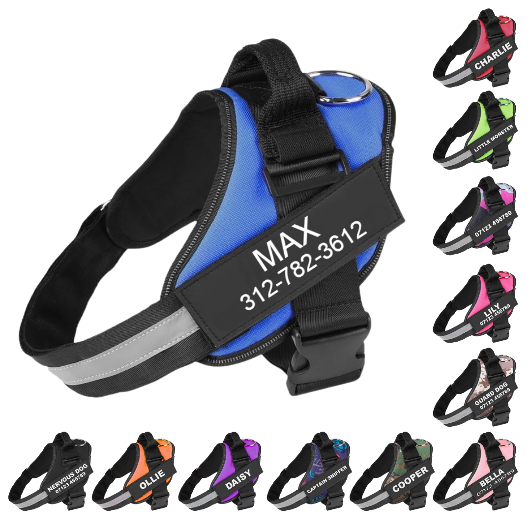 BRAVORA™   - CUSTOM FIT NO-PULL DOG HARNESS