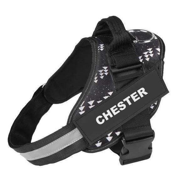 BRAVORA™   - CUSTOM FIT NO-PULL DOG HARNESS