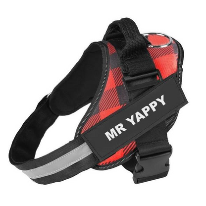 BRAVORA™   - CUSTOM FIT NO-PULL DOG HARNESS