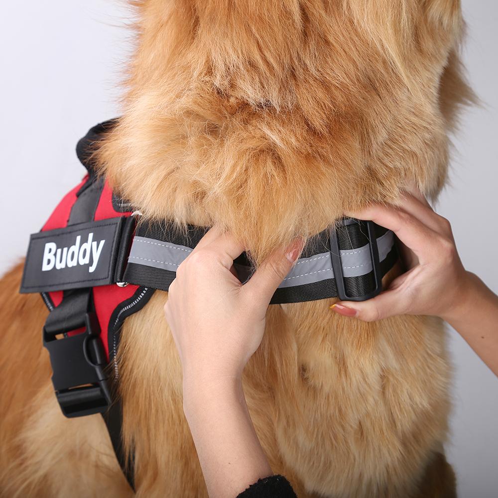 BRAVORA™   - CUSTOM FIT NO-PULL DOG HARNESS