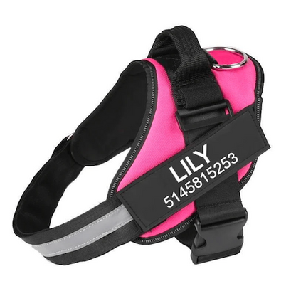 BRAVORA™   - CUSTOM FIT NO-PULL DOG HARNESS